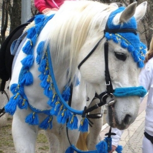 Катание на лошадях и пони - закажите любимую детская забаву!